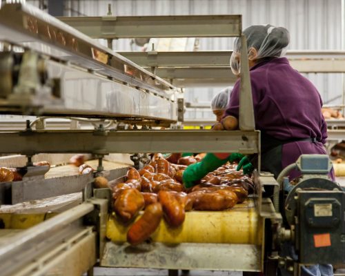 foto alimentaria